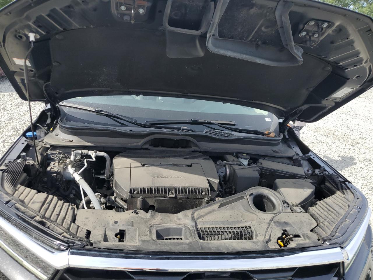 2024 Honda Pilot Touring VIN: 5FNYG1H75RB013900 Lot: 84413725