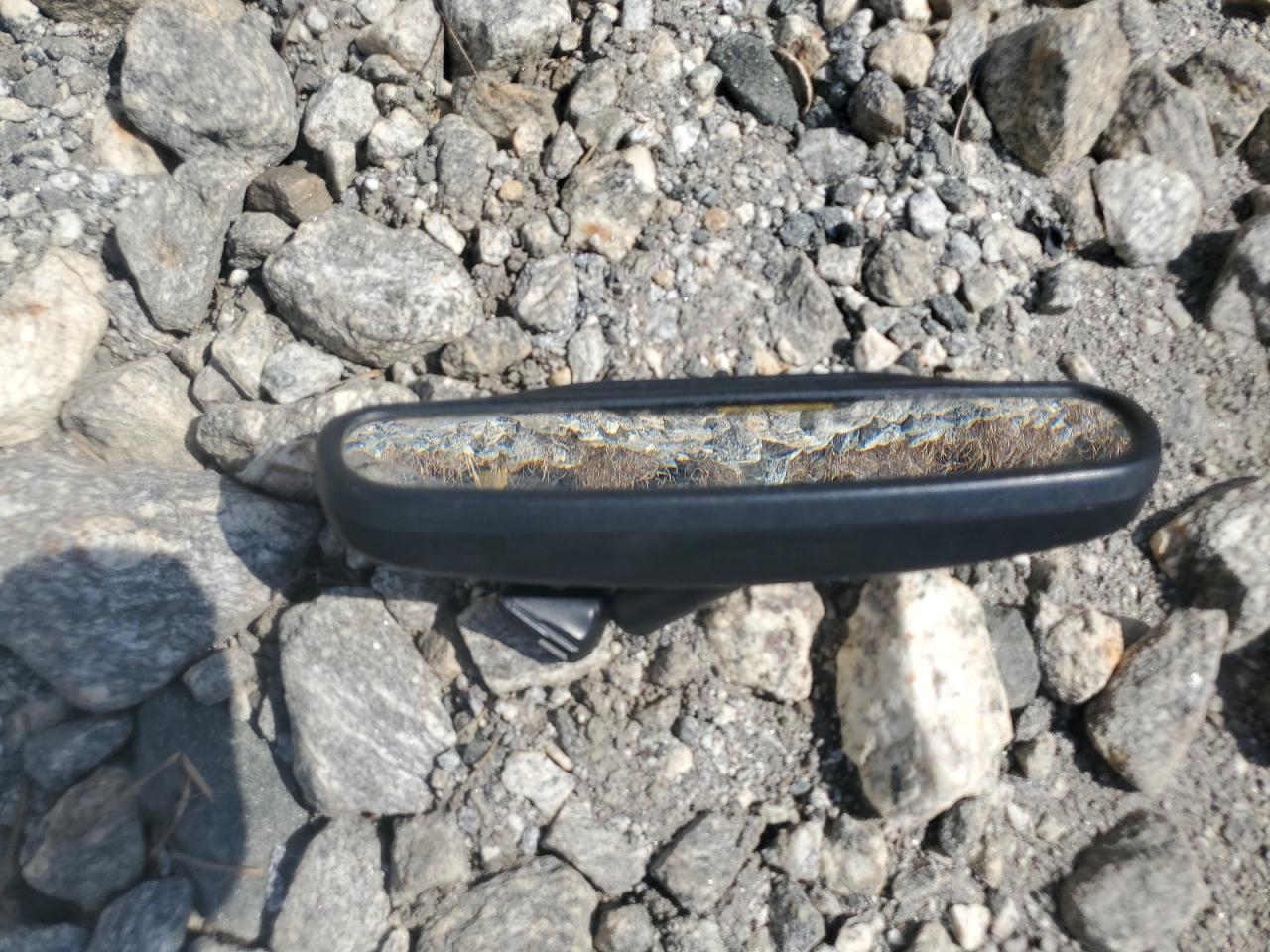 2006 Chevrolet Silverado C1500 VIN: 3GCEC14VX6G176163 Lot: 81548865