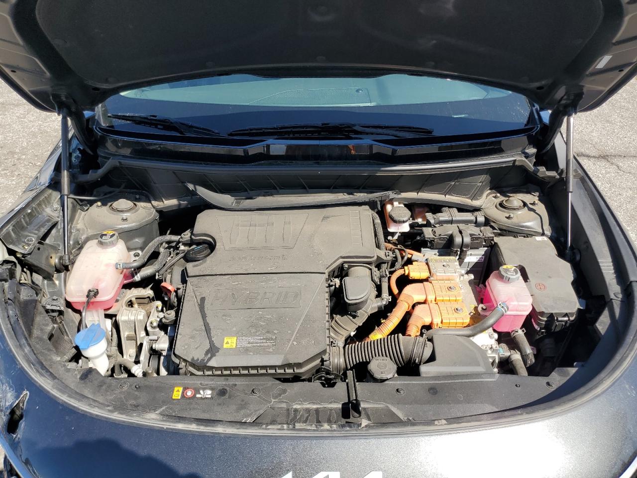 2023 Kia Niro Ex VIN: KNDCR3LE4P5058282 Lot: 81164045