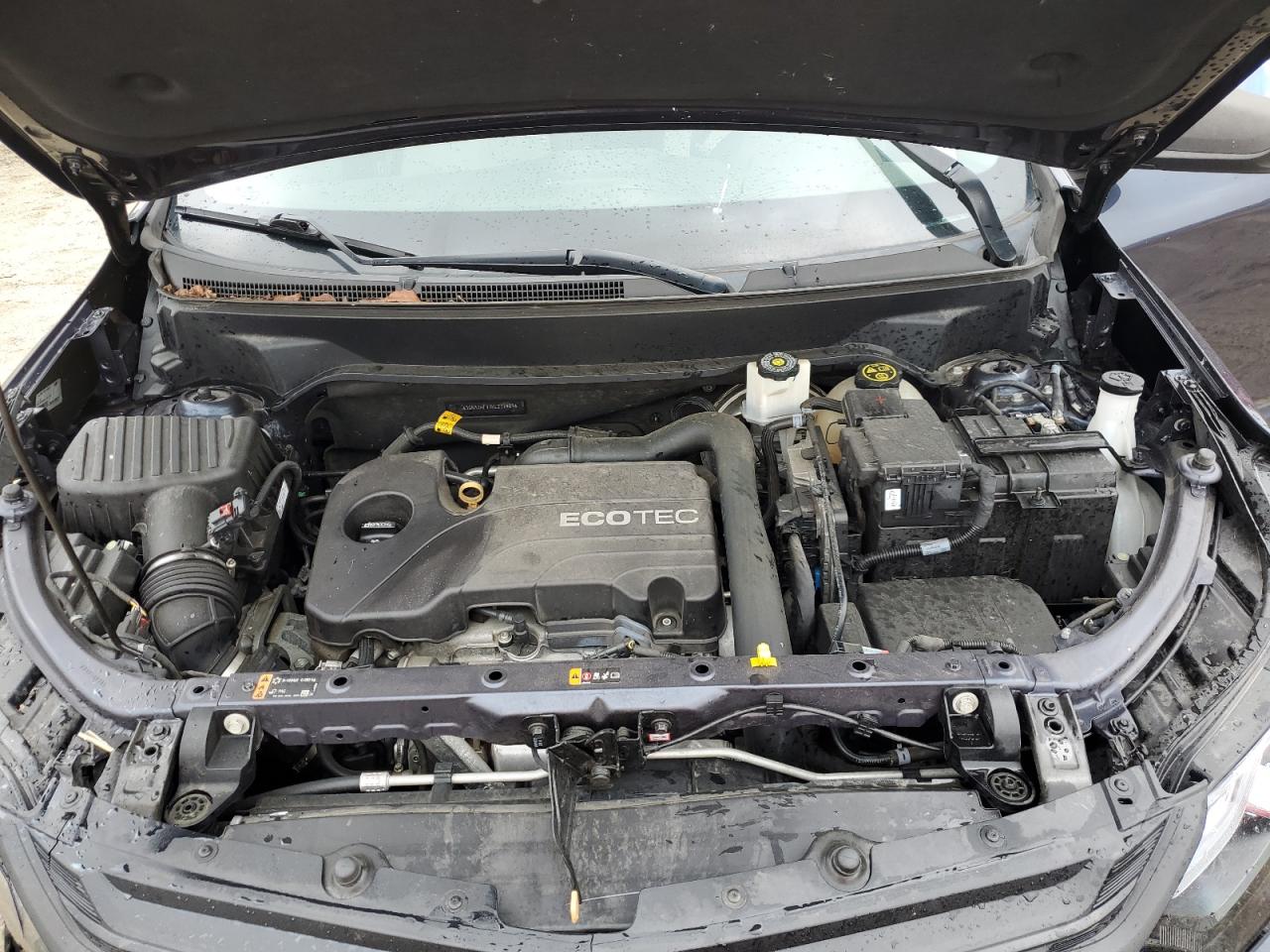 2019 Chevrolet Equinox Ls VIN: 3GNAXHEVXKL217409 Lot: 81122265