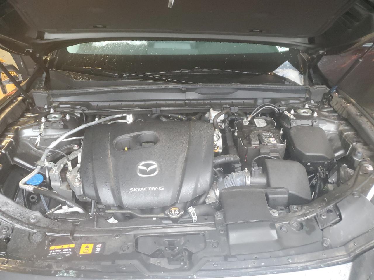 2023 Mazda Cx-50 Preferred Plus VIN: 7MMVABCM2PN121204 Lot: 81386245