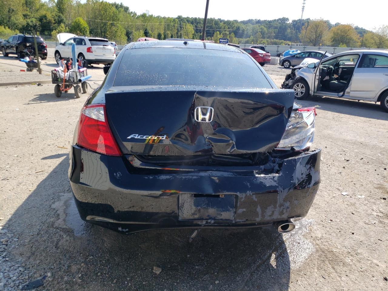 2010 Honda Accord Exl VIN: 1HGCS1B88AA014807 Lot: 81271145