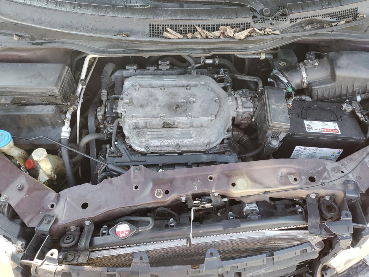 2011 Honda Odyssey Ex VIN: 5FNRL5H48BB029186 Lot: 84262505