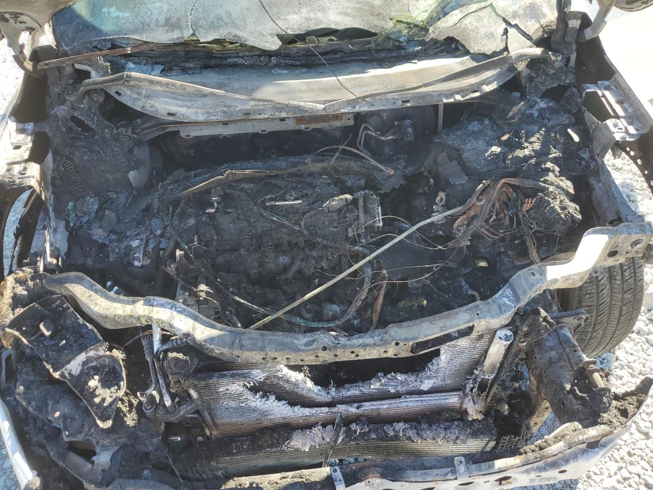 2014 Ford Escape Se VIN: 1FMCU0GX2EUA11727 Lot: 81934705