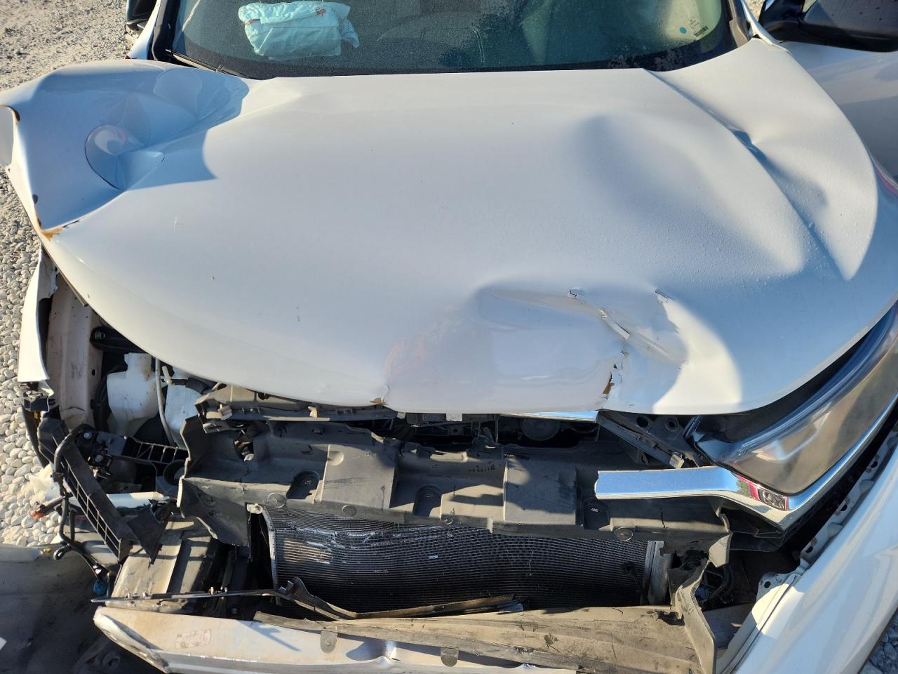 2019 Honda Cr-V Lx VIN: 2HKRW5H38KH406633 Lot: 81771545