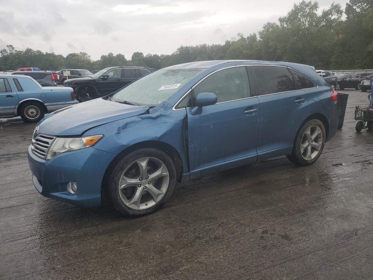 2009 Toyota Venza VIN: 4T3BK11A19U014241 Lot: 71602015