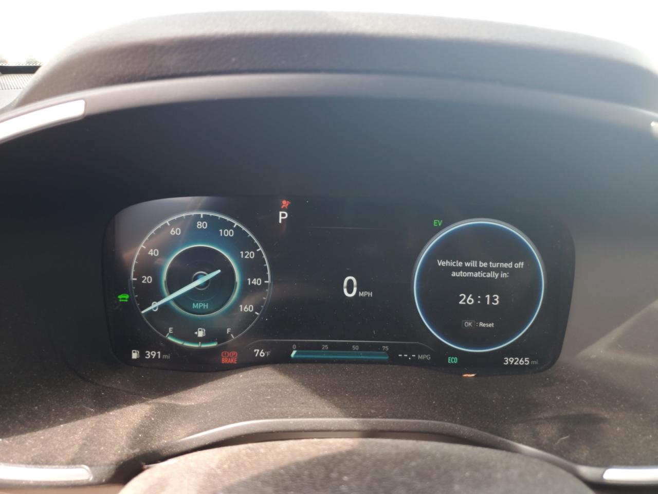 2021 Hyundai Santa Fe Sel Premium VIN: KM8S3DA10MU006759 Lot: 81155085