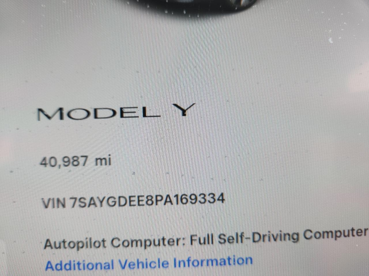 2023 Tesla Model Y VIN: 7SAYGDEE8PA169334 Lot: 71266545