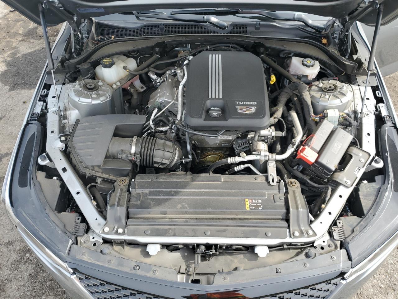 2024 Cadillac Ct4 Luxury + VIN: 1G6DK5RK4R0128089 Lot: 84275315