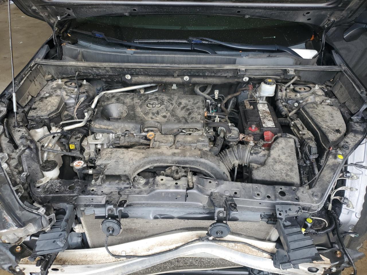 2020 Toyota Rav4 Le VIN: 2T3H1RFV4LW091555 Lot: 81502925