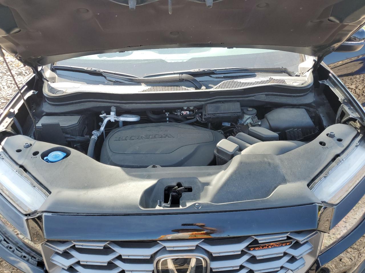 2023 Honda Passport Trail Sport VIN: 5FNYF8H61PB029169 Lot: 71673265