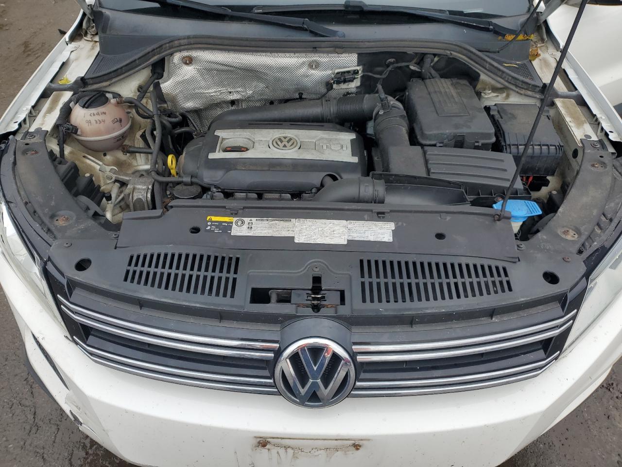 2013 Volkswagen Tiguan S VIN: WVGBV3AX4DW620212 Lot: 81114705