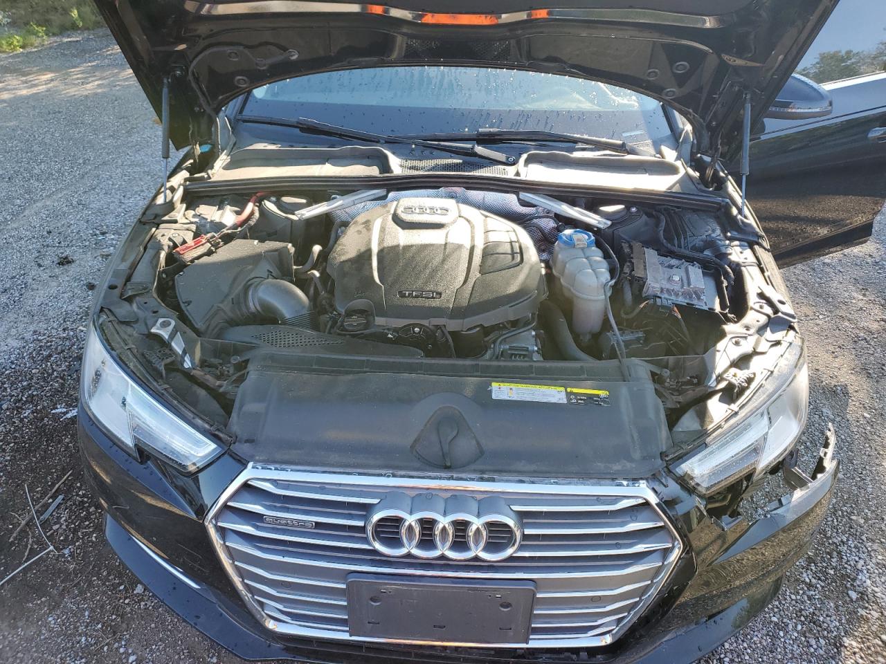 2017 Audi A4 Progressiv VIN: WAUBNAF47HN015214 Lot: 70911405