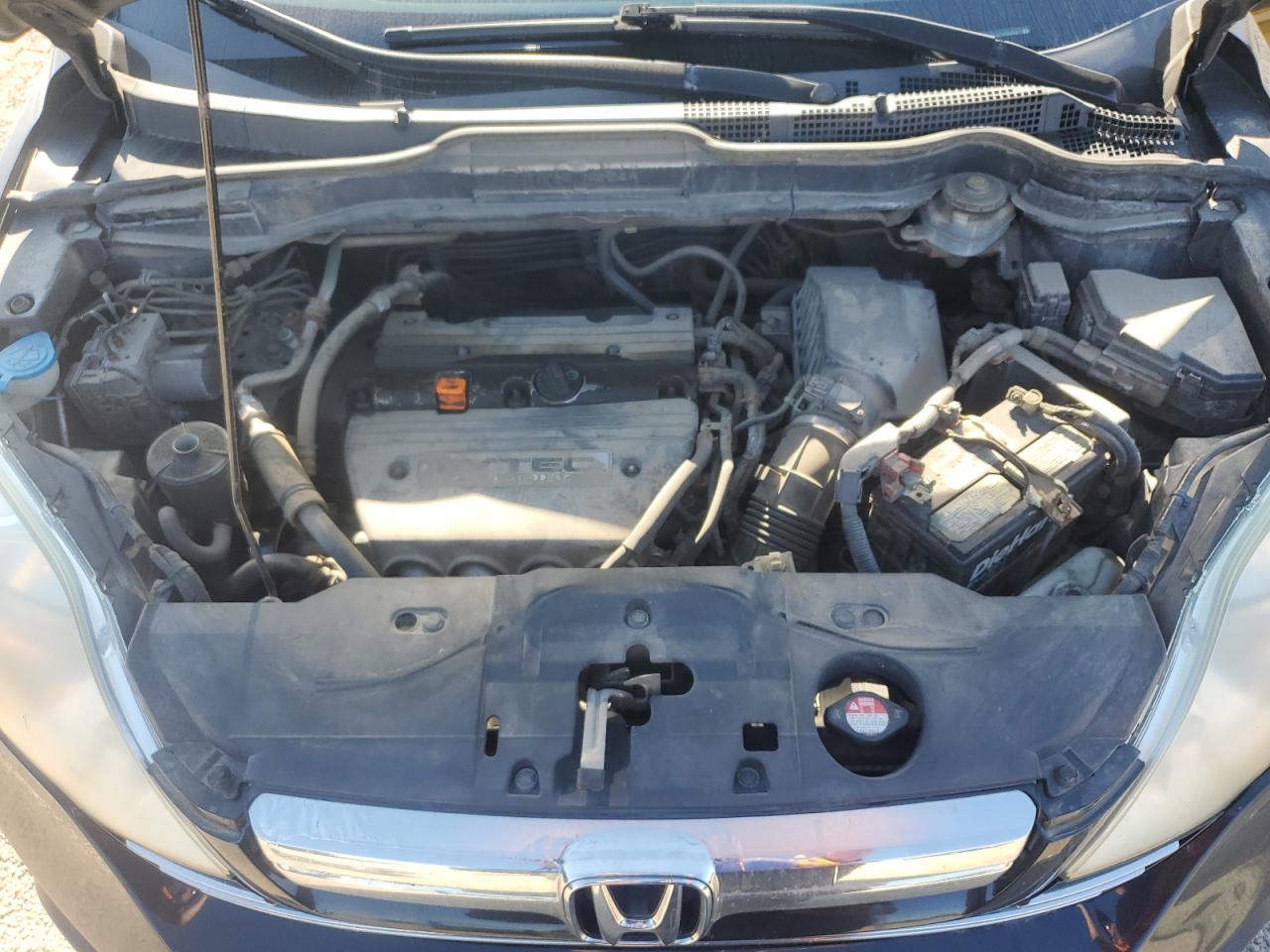 2009 Honda Cr-V Exl VIN: 5J6RE487X9L806516 Lot: 80021805