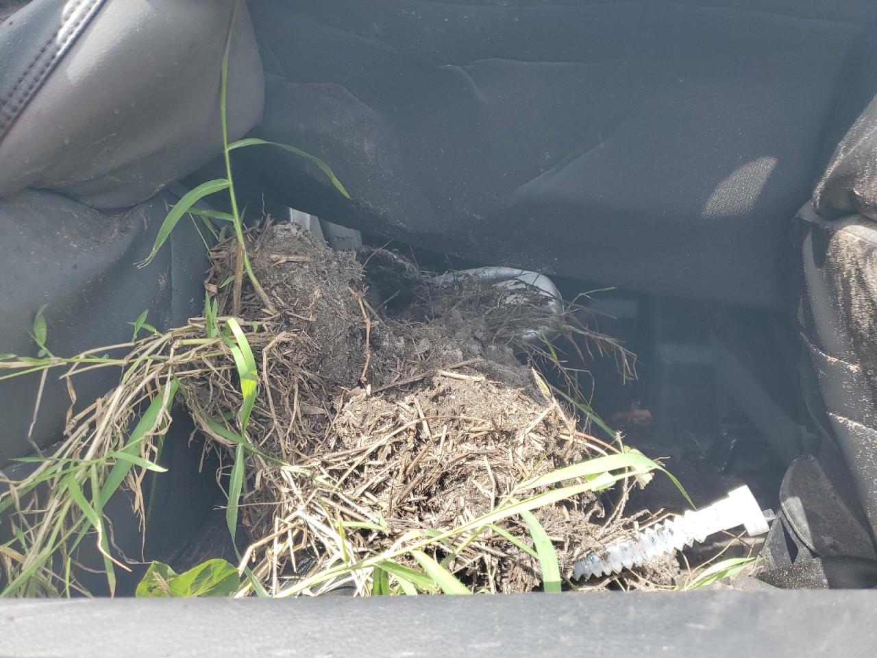 2021 Ram 5500 VIN: 3C7WRNEL0MG662343 Lot: 71446615