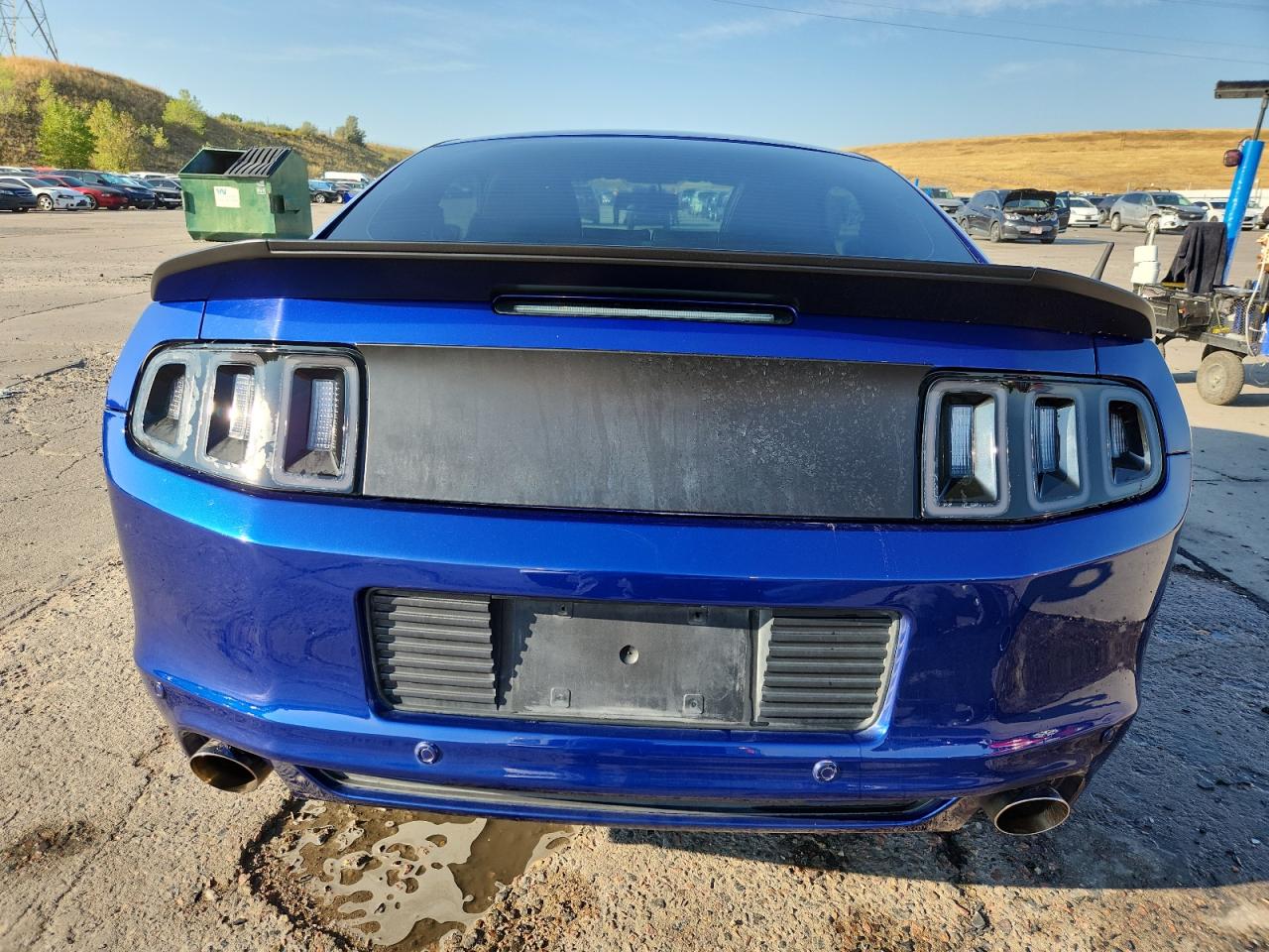 2013 Ford Mustang Gt VIN: 1ZVBP8CF9D5221444 Lot: 71307035