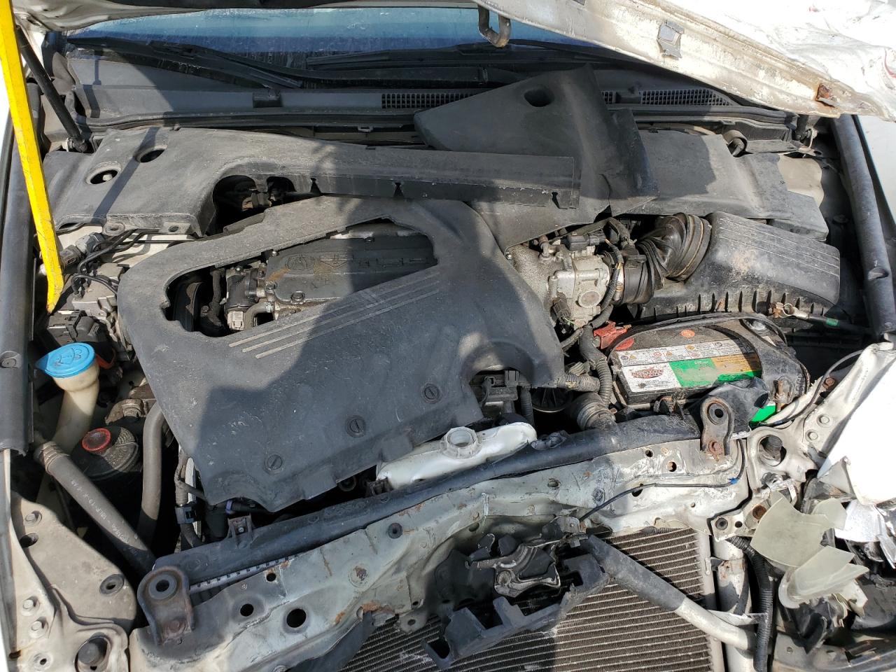 2004 Acura Tl VIN: 19UUA66244A032557 Lot: 81258935