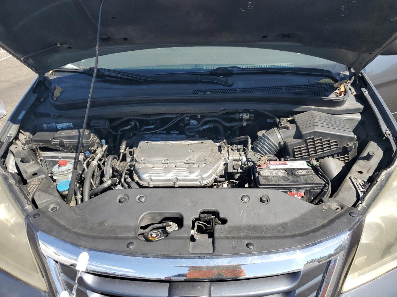 2010 Honda Odyssey Exl VIN: 5FNRL3H64AB075652 Lot: 80705325