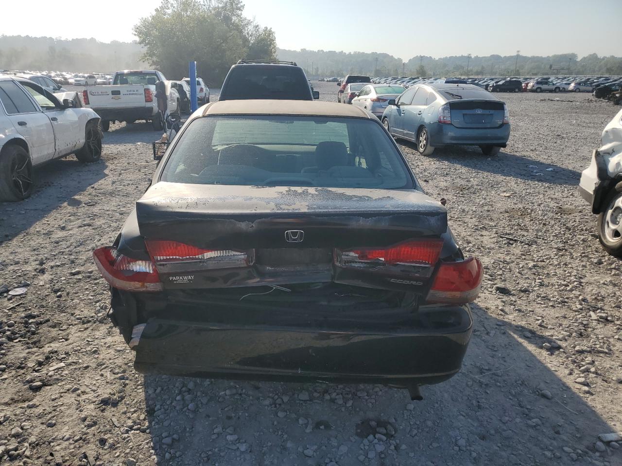 2001 Honda Accord Ex VIN: 1HGCG55691A135526 Lot: 86244605