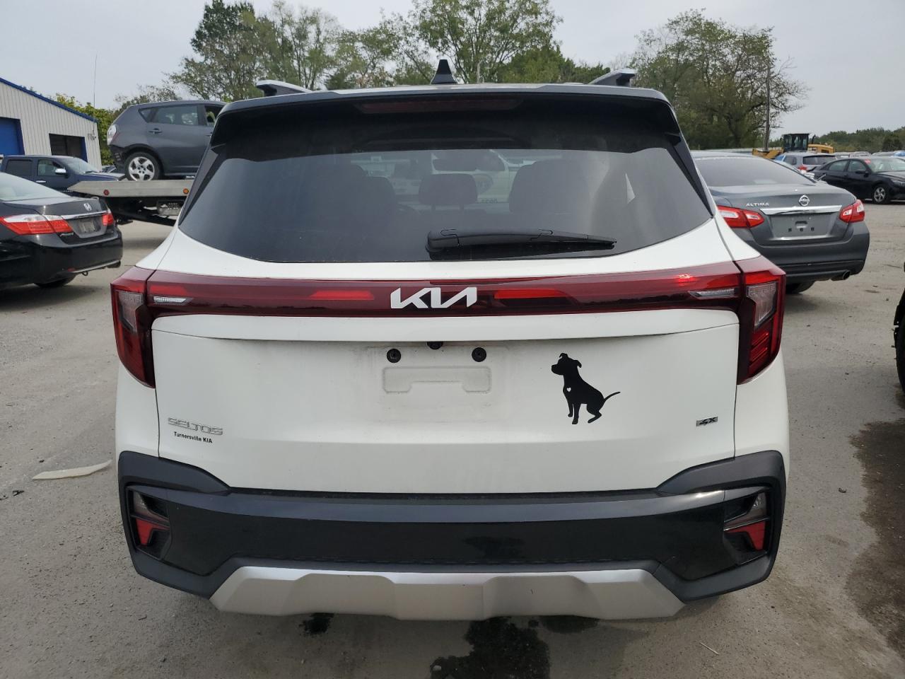 2024 Kia Seltos S VIN: KNDEUCAA8R7617024 Lot: 81779835