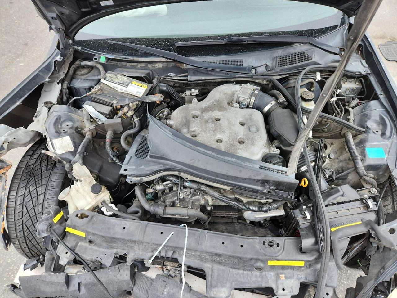 2006 Infiniti G35 VIN: JNKCV54E86M713505 Lot: 70844965