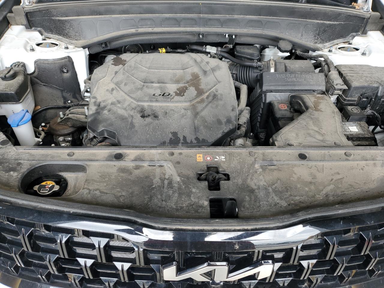 2024 Kia Telluride Sx VIN: 5XYP5DGC3RG471252 Lot: 83932385