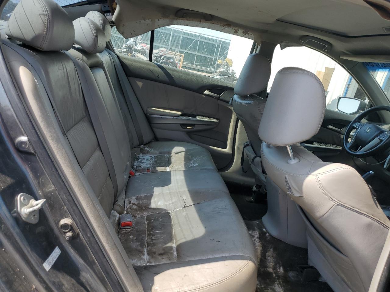 2009 Honda Accord Exl VIN: 1HGCP36899A013748 Lot: 81162975