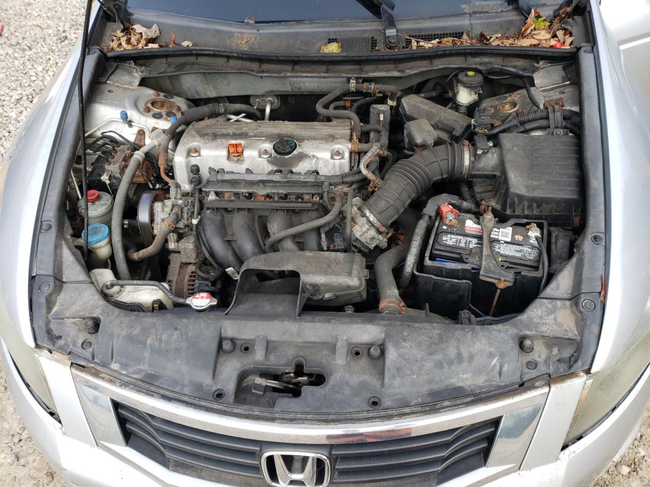 2010 Honda Accord Lx VIN: 1HGCP2F3XAA172359 Lot: 82043085