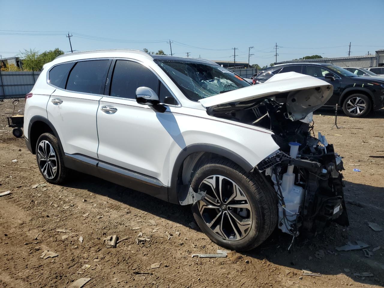 2020 Hyundai Santa Fe Limited VIN: 5NMS53AA2LH306236 Lot: 84645465