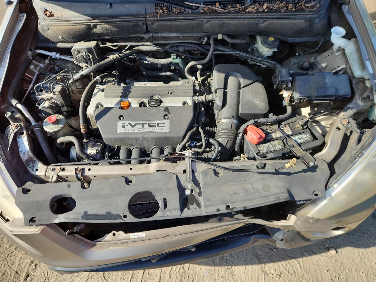 2006 Honda Cr-V Se VIN: SHSRD78956U429855 Lot: 70991845