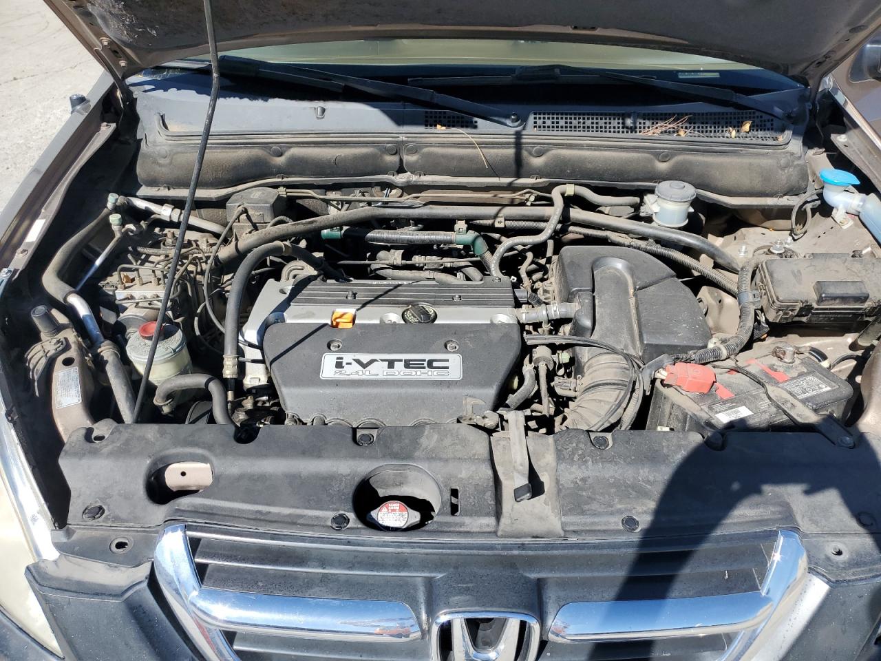 2002 Honda Cr-V Ex VIN: JHLRD78802C004598 Lot: 81700255