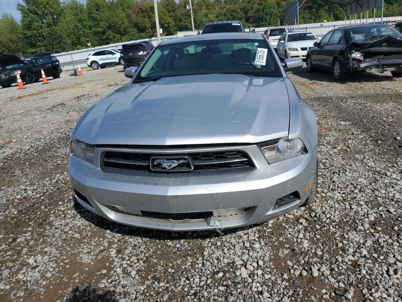 2011 Ford Mustang VIN: 1ZVBP8AM1B5121790 Lot: 81656725