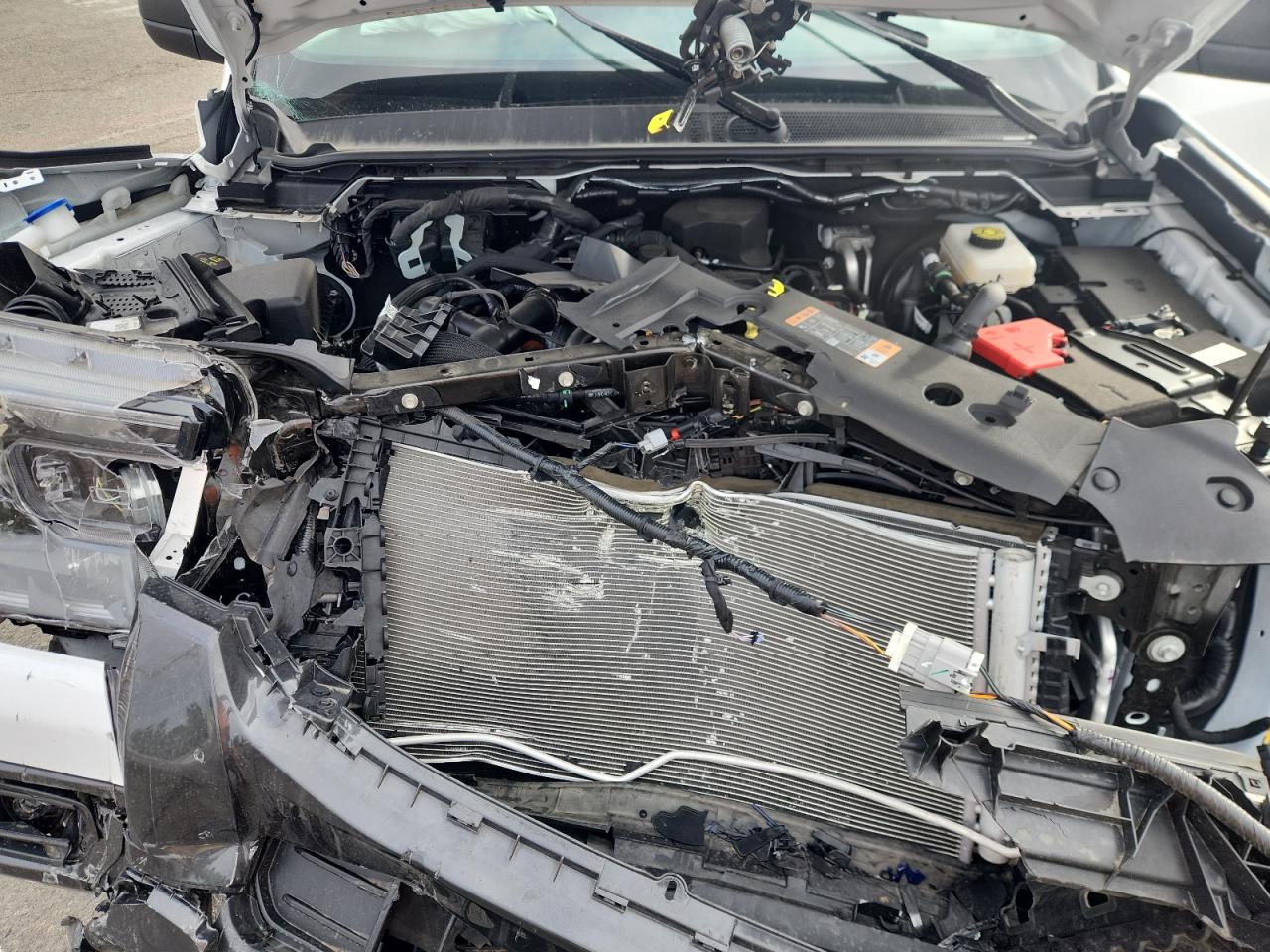 2024 Ford Ranger Xlt VIN: 1FTER4GH0RLE69194 Lot: 81336105