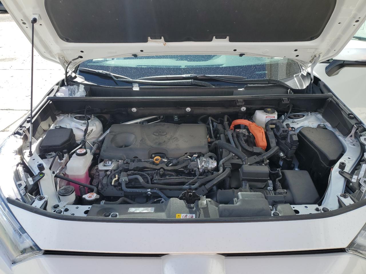 2024 Toyota Rav4 Se VIN: 2T3T6RFV1RW061921 Lot: 80027285