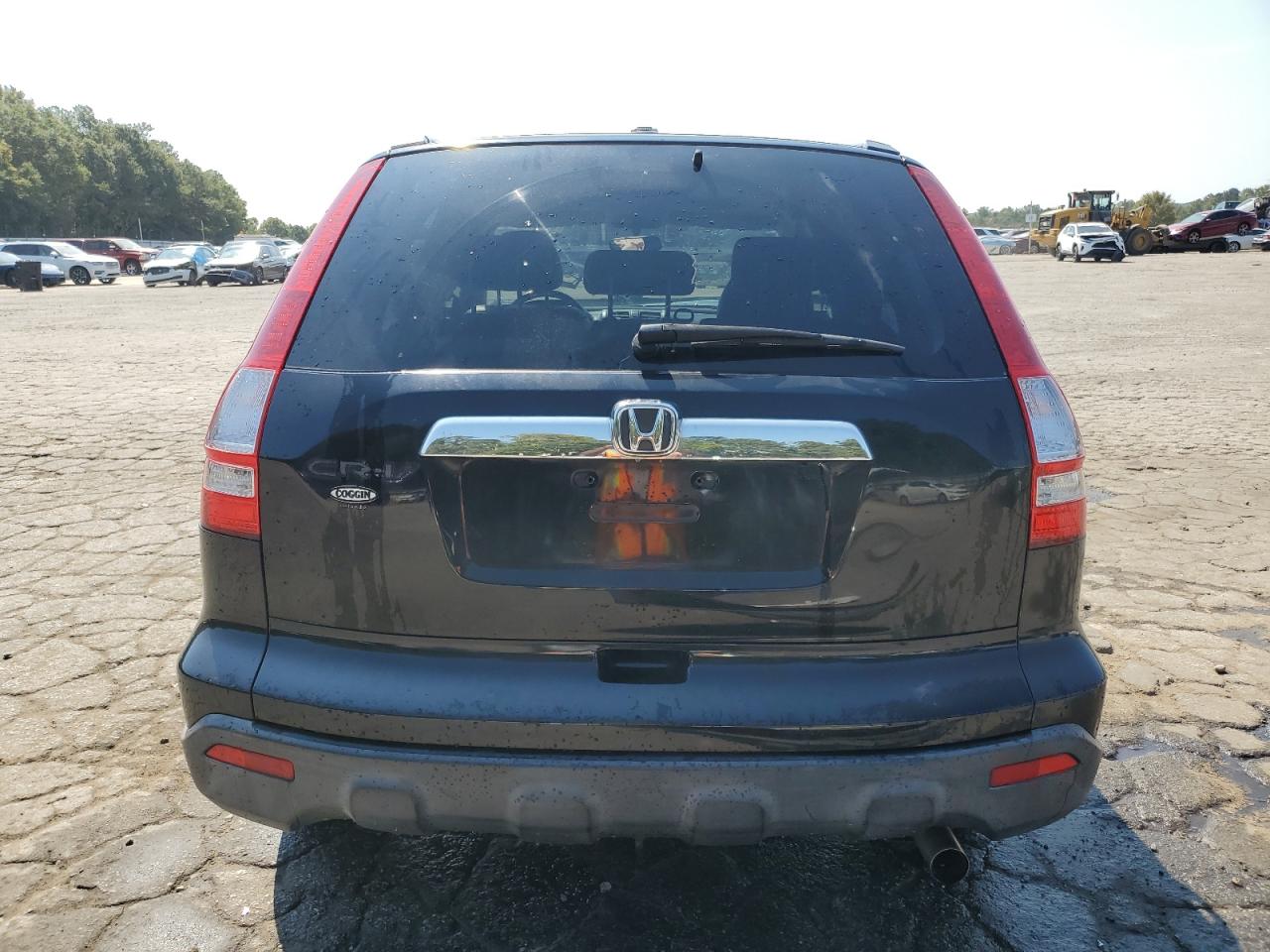 2008 Honda Cr-V Exl VIN: JHLRE387X8C019115 Lot: 80938825