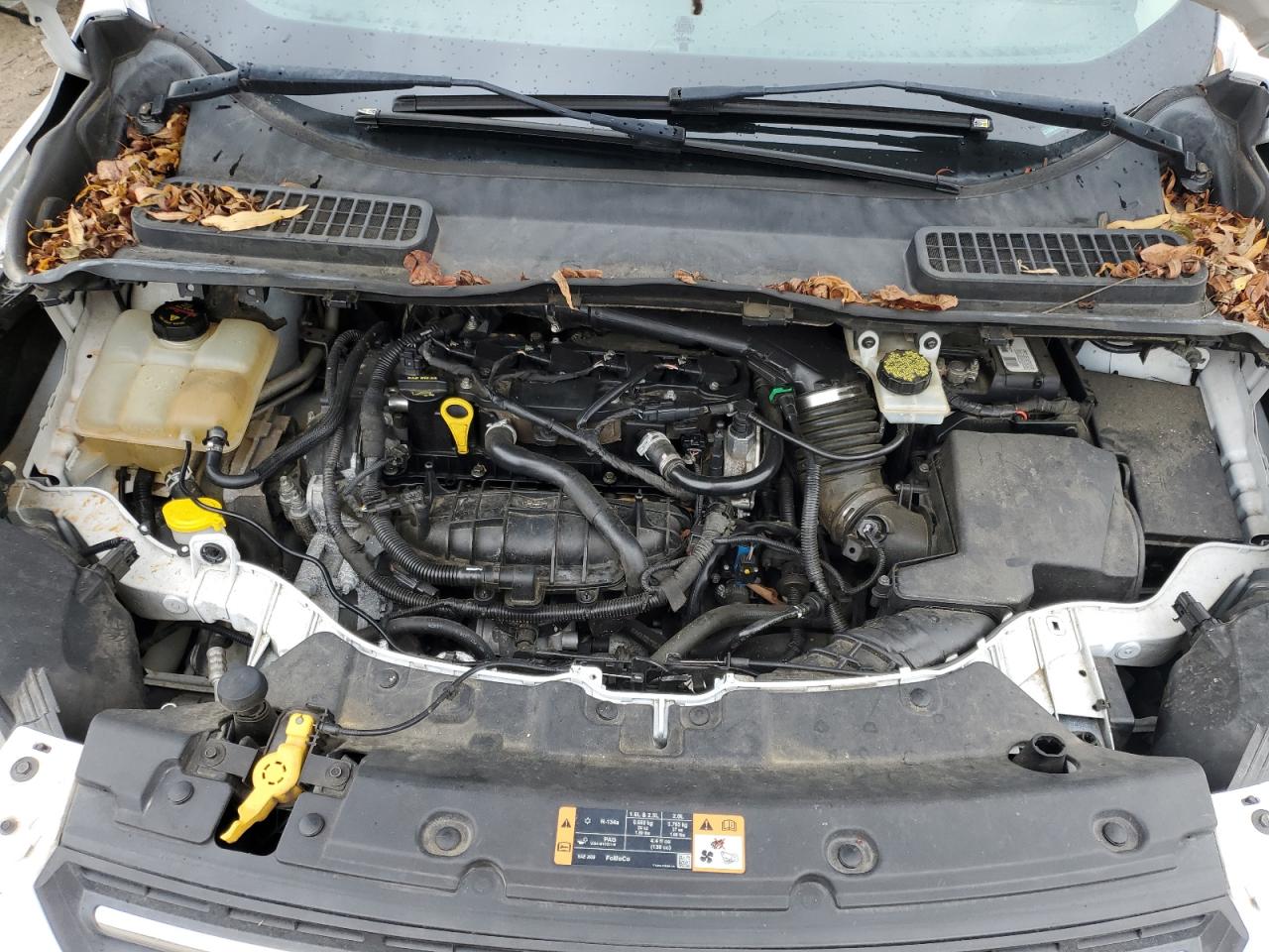 2014 Ford Escape Se VIN: 1FMCU0GXXEUE41344 Lot: 81797505