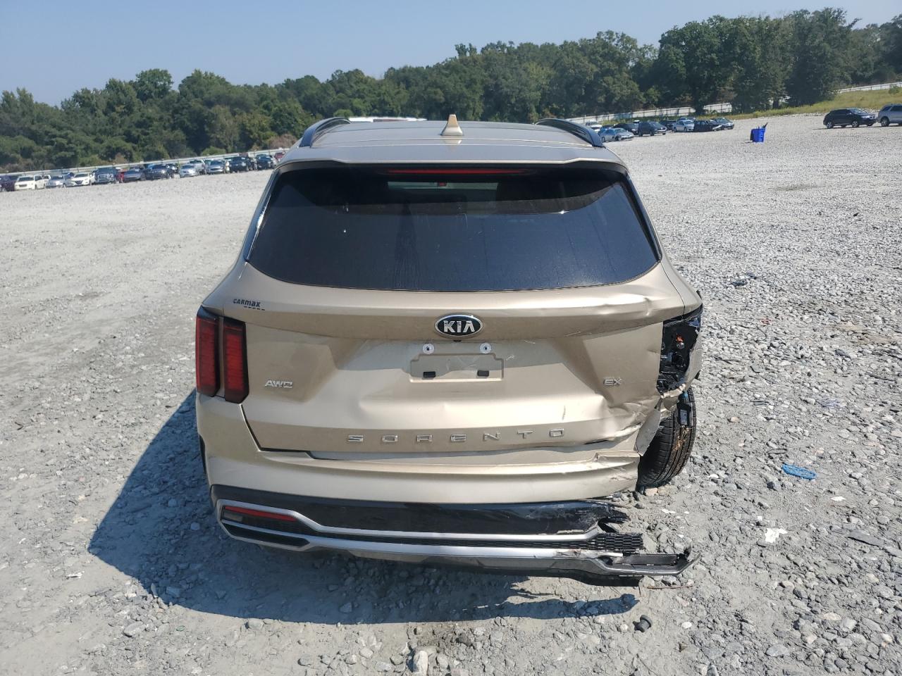 2021 Kia Sorento Ex VIN: 5XYRHDLF9MG024756 Lot: 81564945