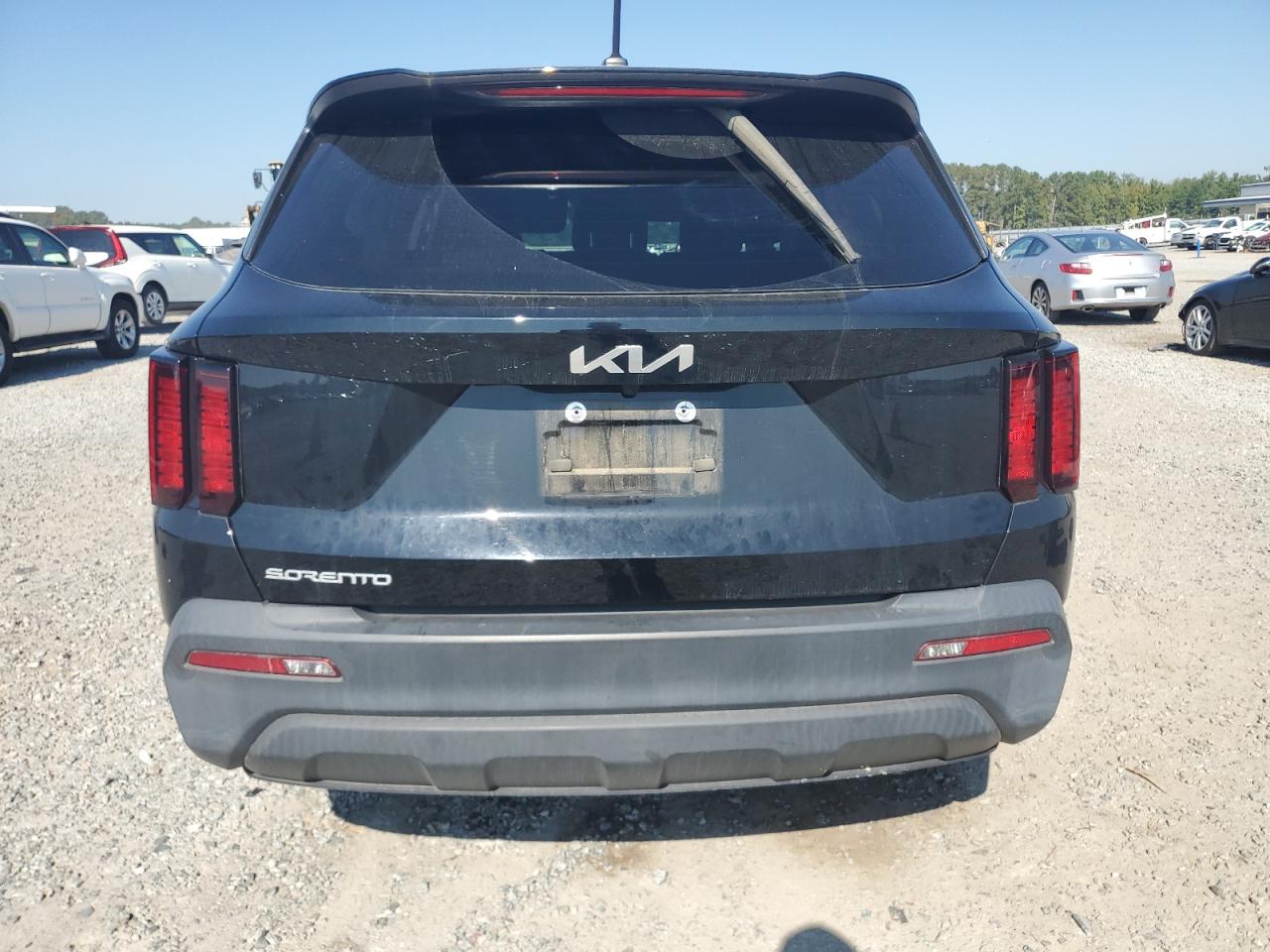 2023 Kia Sorento Lx VIN: 5XYRG4LC3PG204554 Lot: 81164135