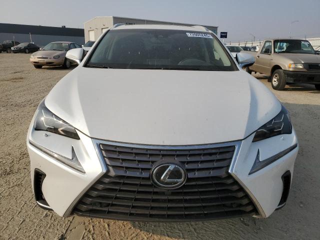  LEXUS NX 2019 Белы