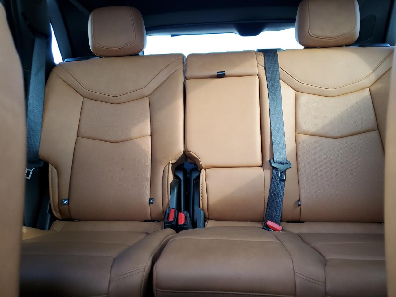 2024 Cadillac Xt5 Premium Luxury VIN: 1GYKNDRS0RZ731777 Lot: 71269965