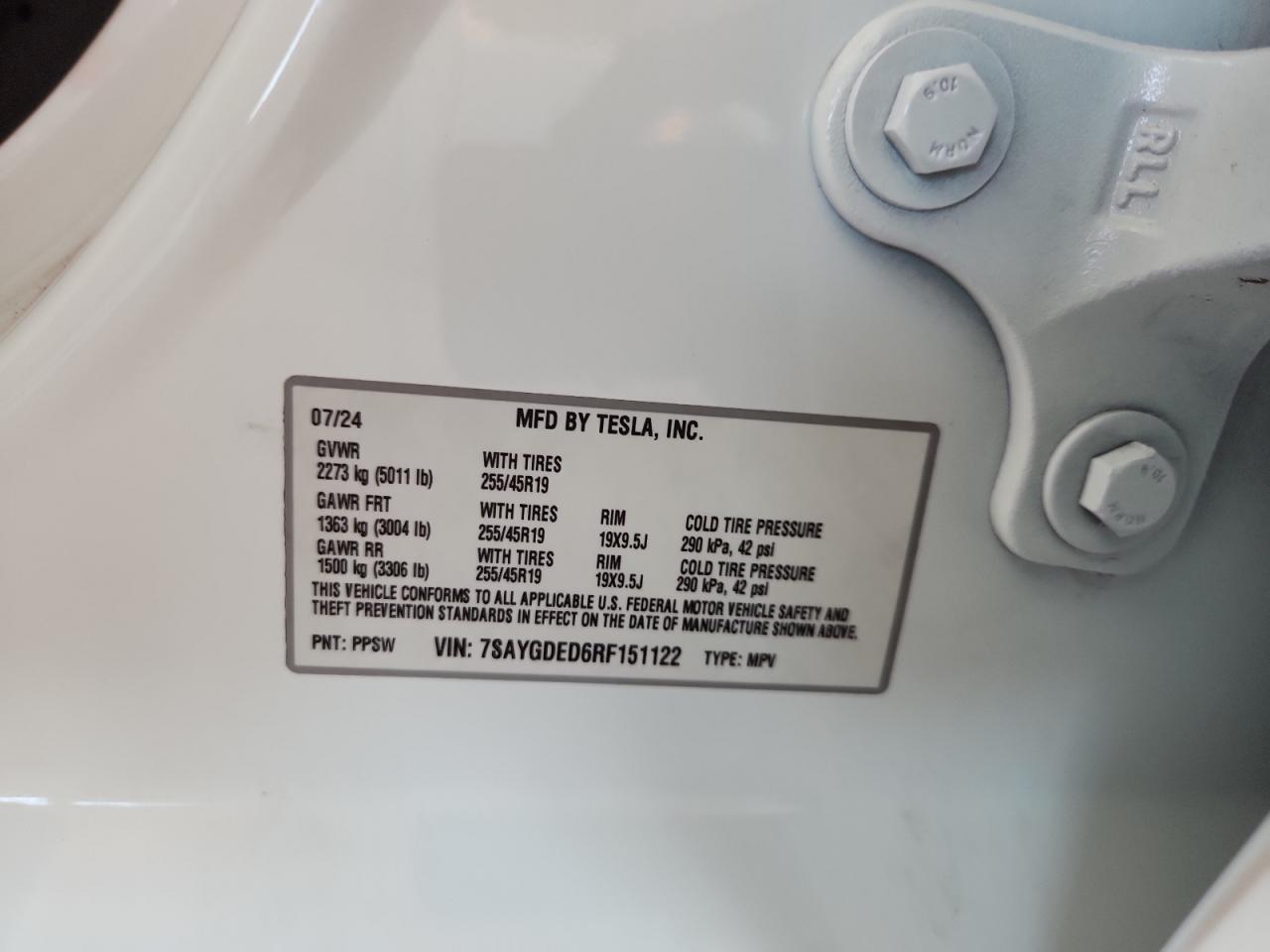 2024 Tesla Model Y VIN: 7SAYGDED6RF151122 Lot: 81297445