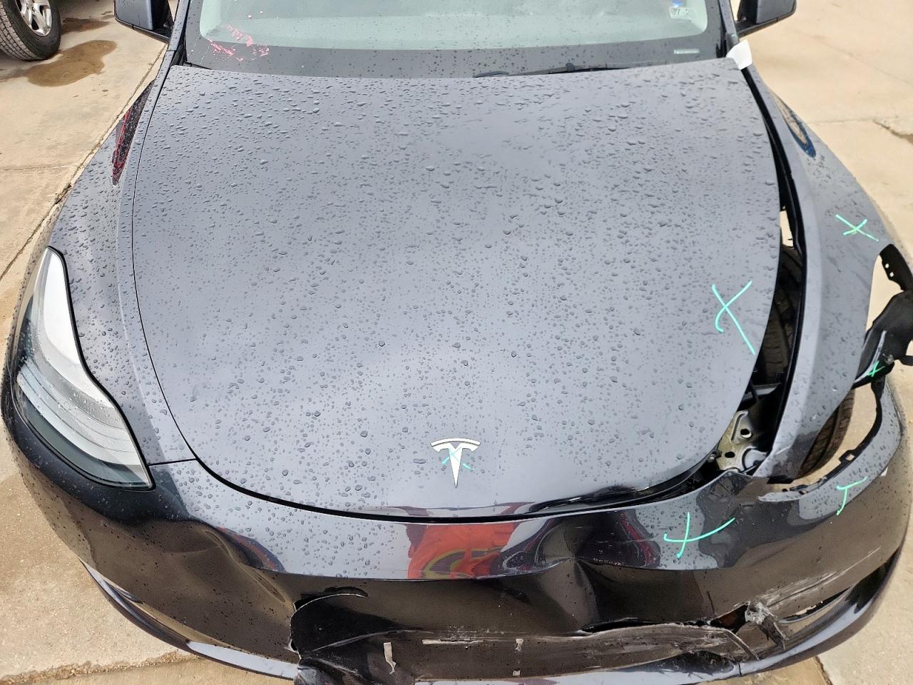 2024 Tesla Model Y VIN: 7SAYGAEEXRF084368 Lot: 71813985