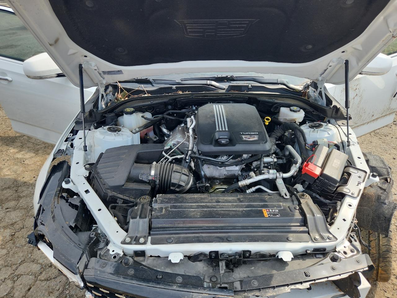 2024 Cadillac Ct4 Premium Luxury VIN: 1G6DB5RK1R0113436 Lot: 71279675