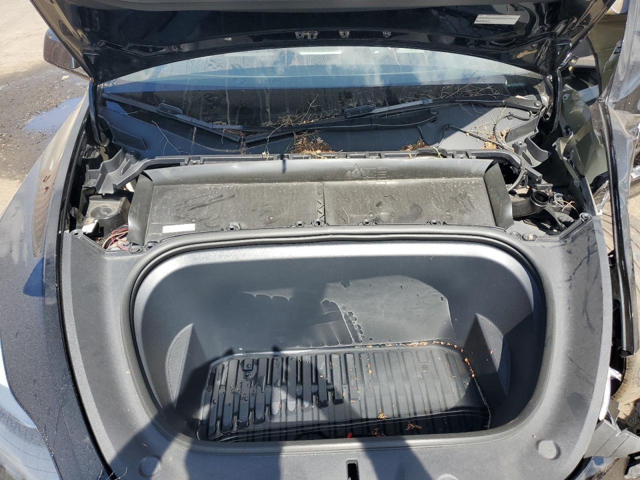 2024 Tesla Model Y VIN: 7SAYGDEE0RA225592 Lot: 71990285