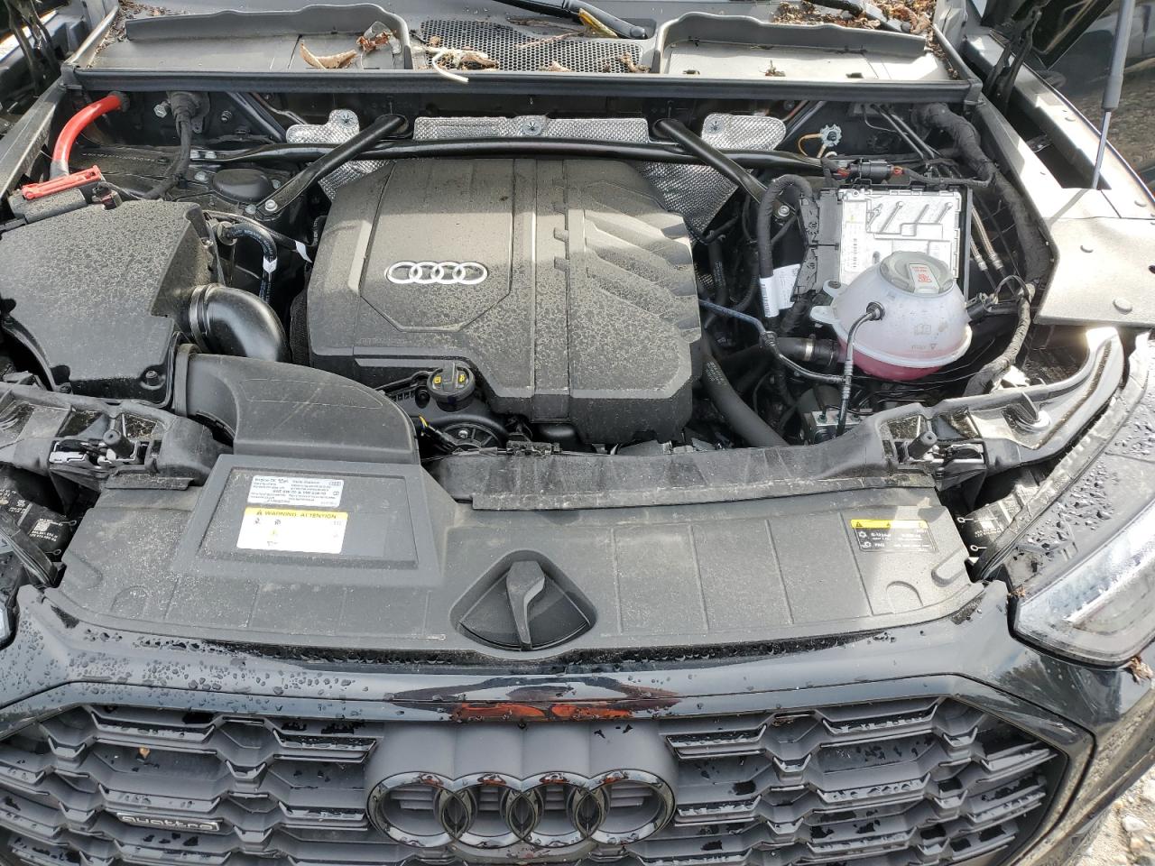 2025 Audi Q5 Premium Plus 45 VIN: WA1EAAFY4S2055039 Lot: 82081475