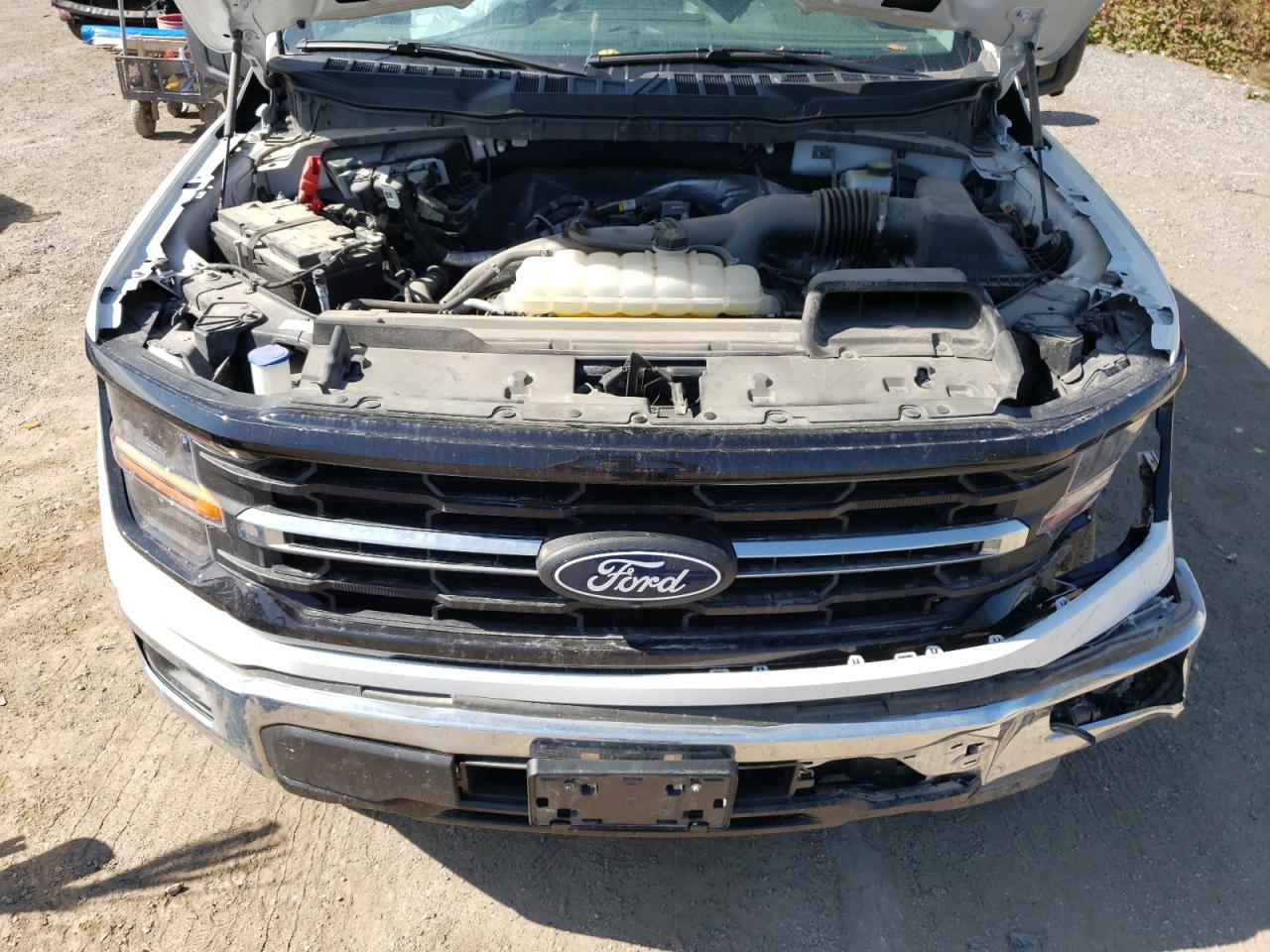 2024 Ford F150 Xlt VIN: 1FTEX3KP5RKD09736 Lot: 81465715