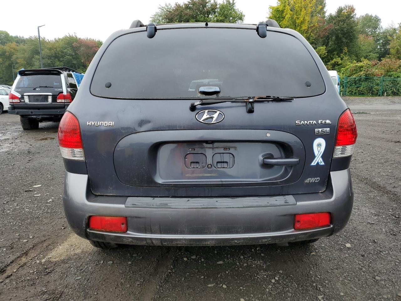 2005 Hyundai Santa Fe Gls VIN: KM8SC73E85U998393 Lot: 83794955