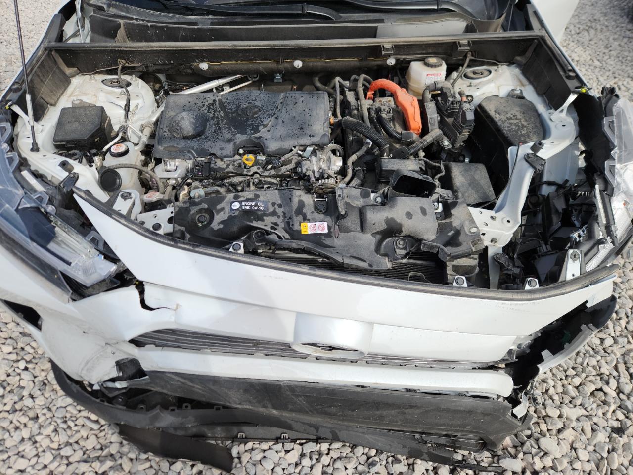 2024 Toyota Rav4 Limited VIN: JTMD6RFV3RD558082 Lot: 81337635