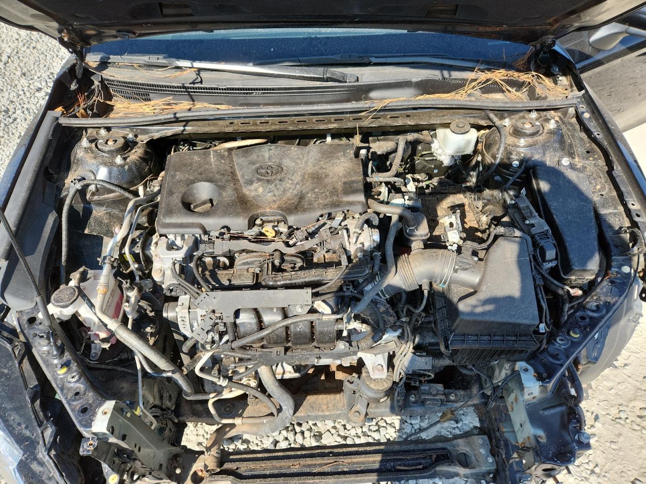 2022 Toyota Camry Le VIN: 4T1C11AK1NU017742 Lot: 81109795