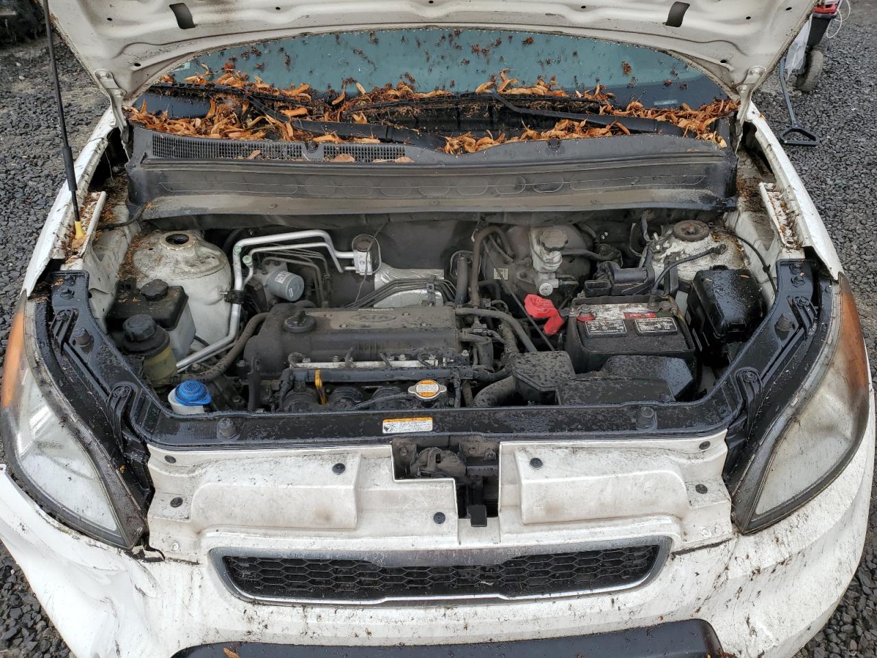 2010 Kia Soul VIN: KNDJT2A19A7137509 Lot: 71700495